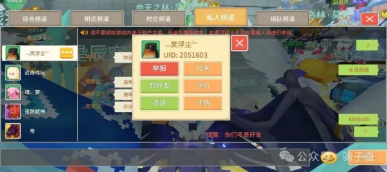 轻云之月 笑浮尘 的证据