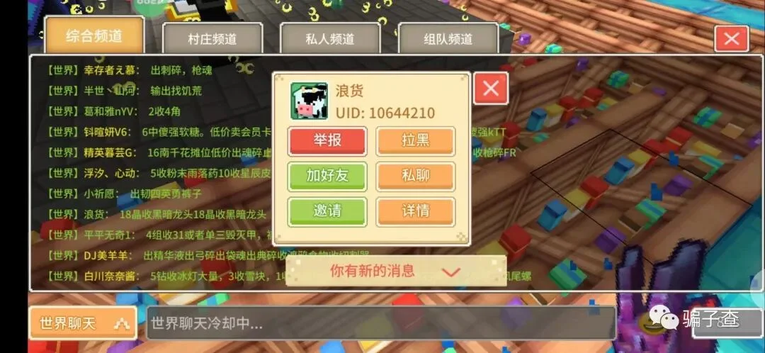 浪货 证据图 1