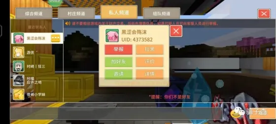 黑涩会殇沫 的证据